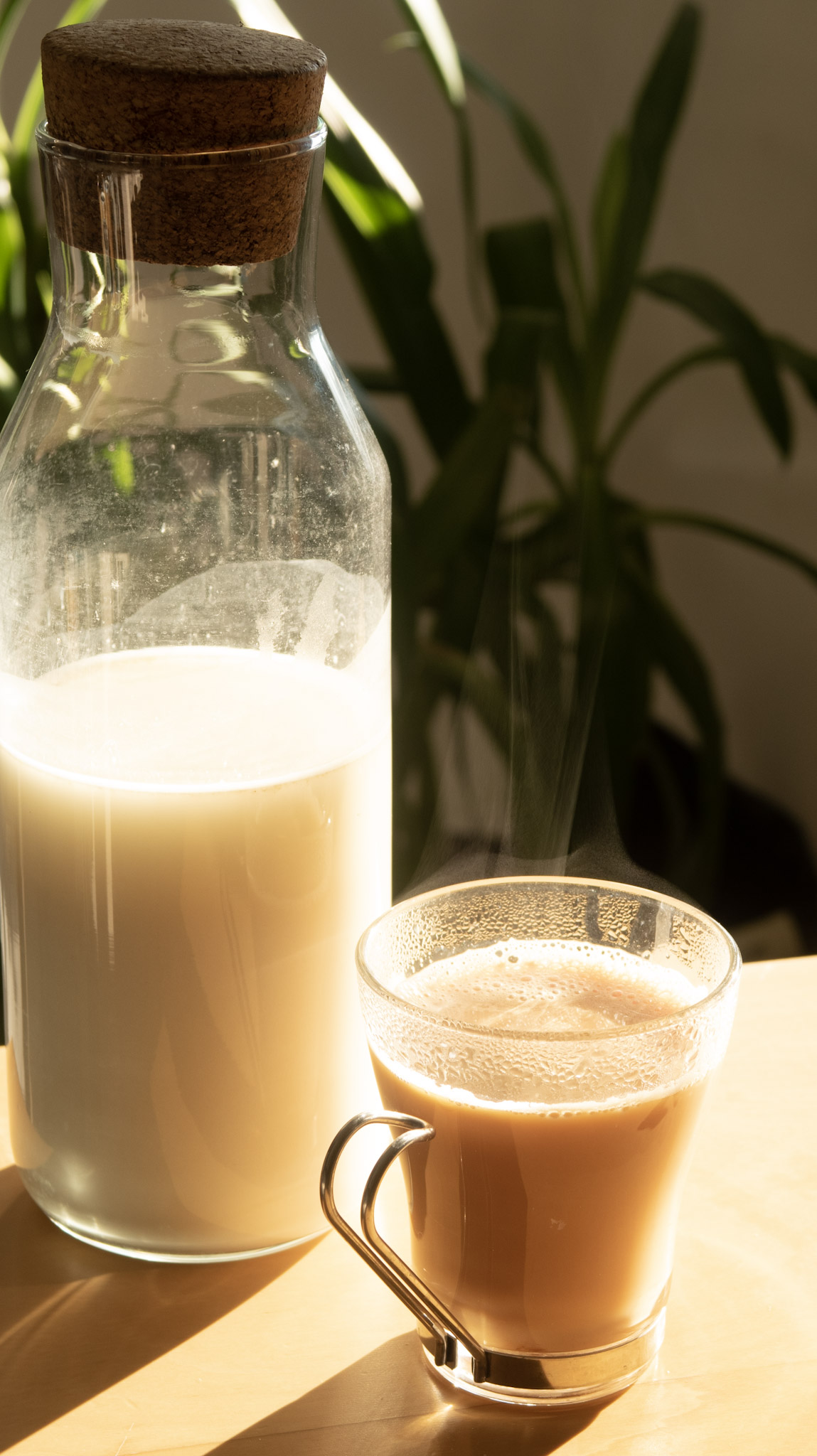 How To Make (NonSlimy)Oat Milk BeExtraVegant